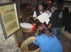 IMG 7450