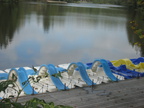 IMG 7507