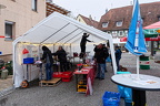 IMG 0435 1920px
